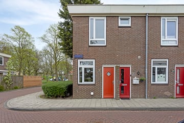 Dolfijnhof thumbnail