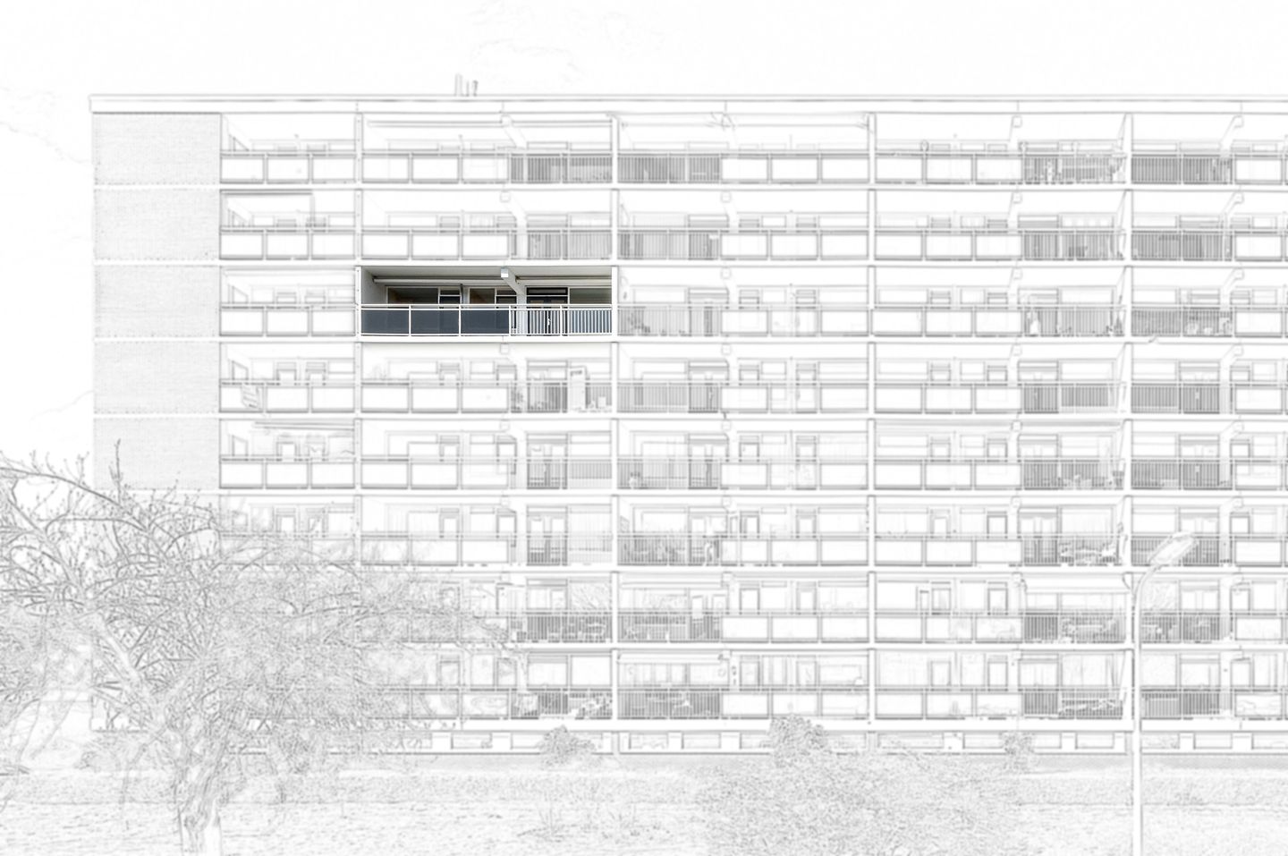 Photo 4 of Spechtlaan 367