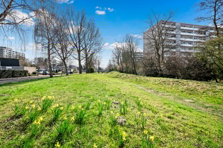 Foto 39 van Spechtlaan 367