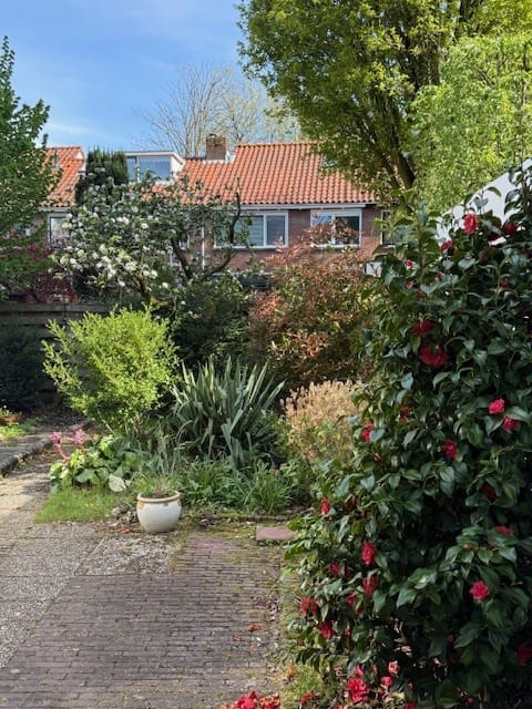 Foto 33 van Hobbemalaan 17