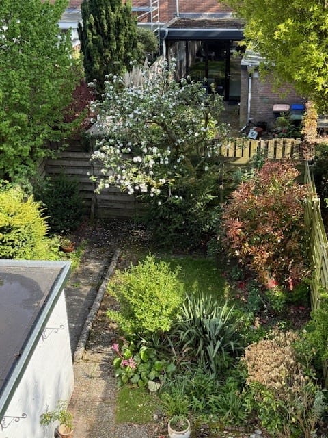 Foto 36 van Hobbemalaan 17