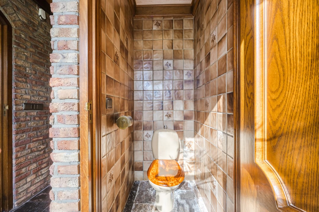 Foto 8 van Dinthersedijk 4