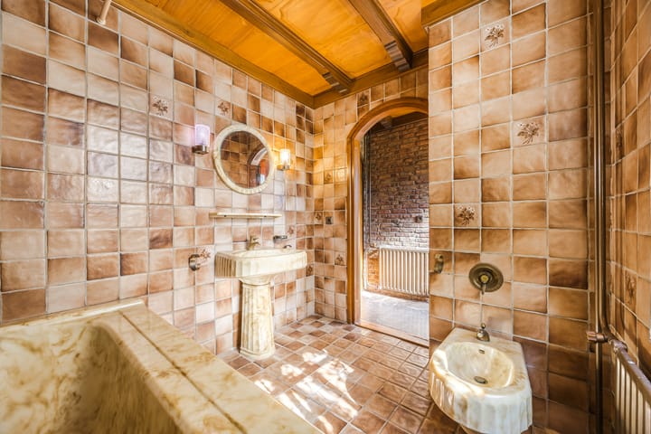 Foto 10 van Dinthersedijk 4