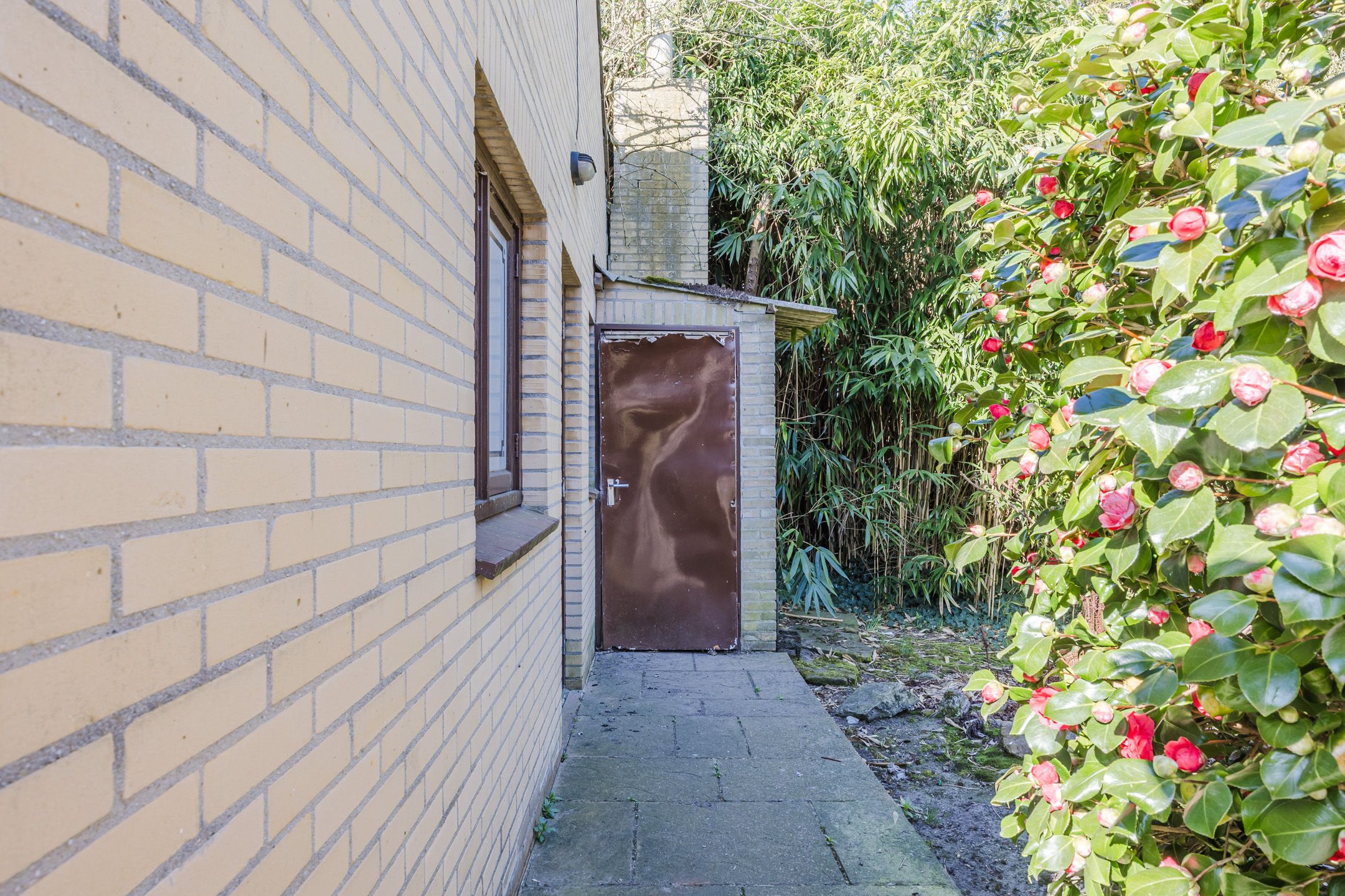 Foto 48 van Dinthersedijk 4