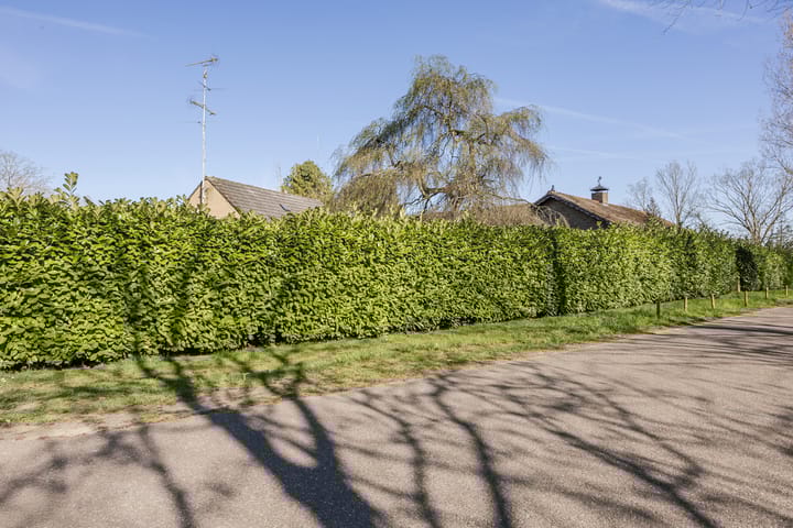 Foto 52 van Dinthersedijk 4