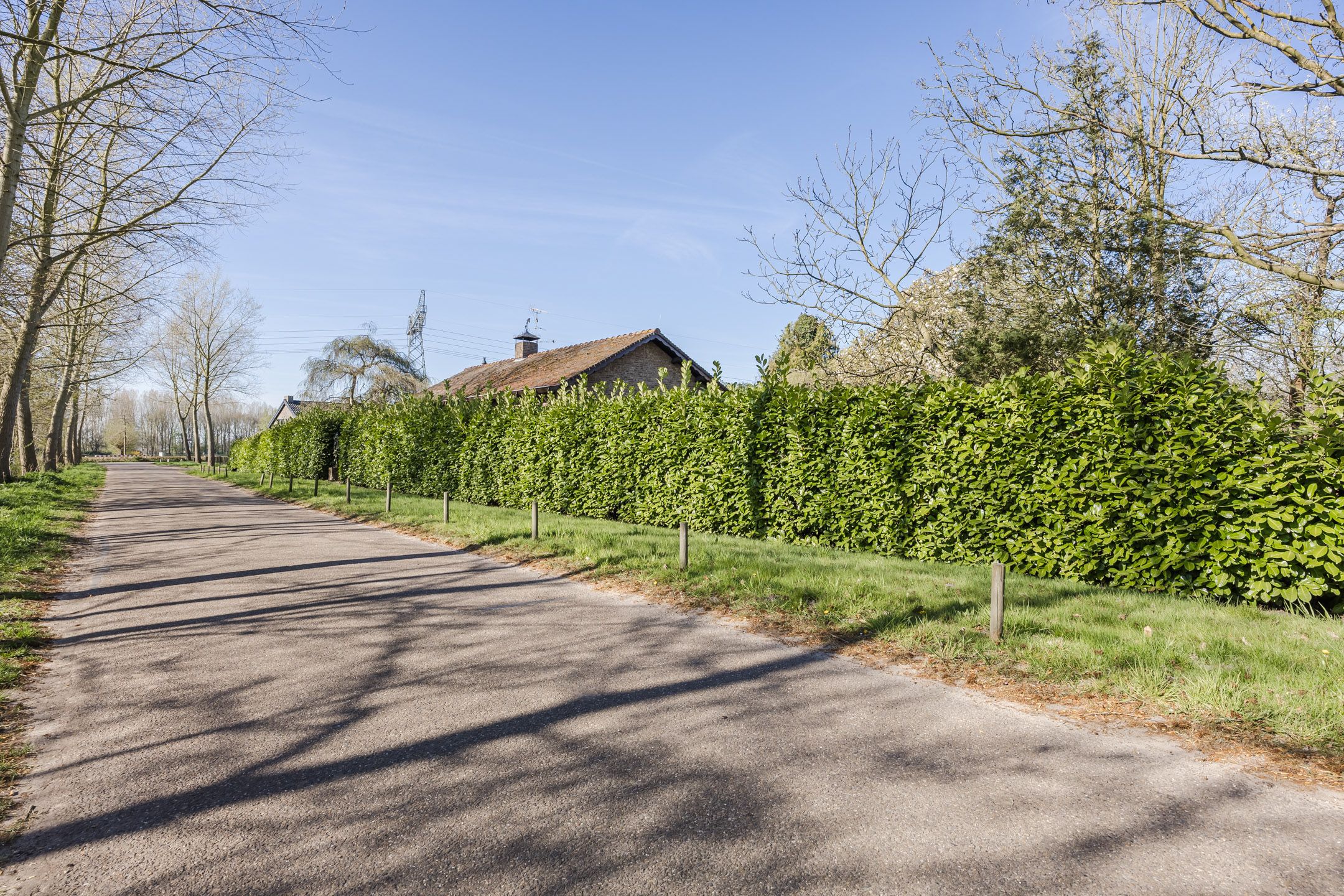 Foto 54 van Dinthersedijk 4