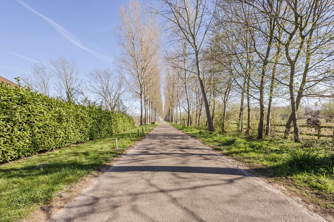 Foto 56 van Dinthersedijk 4