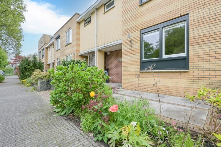 Foto 42 van Passaat 56