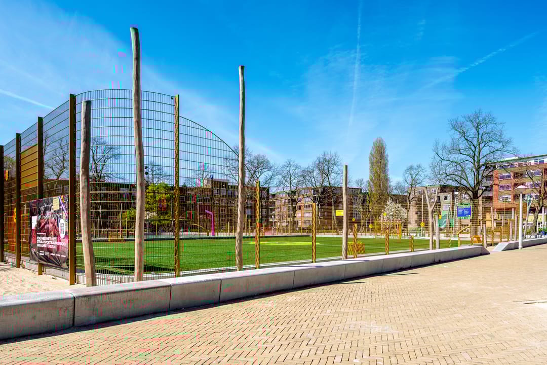 Foto 41 van Sumatraplantsoen 148