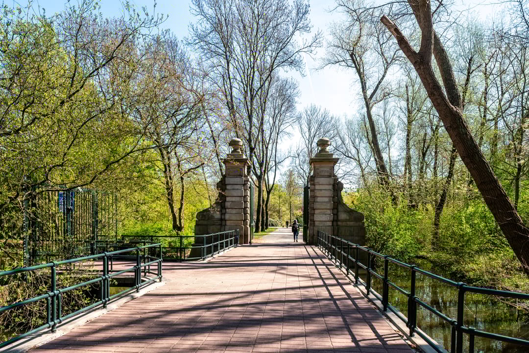 Foto 43 van Sumatraplantsoen 148