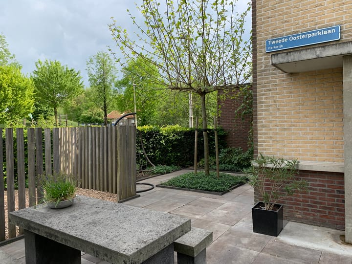 Photo 38 of Tweede Oosterparklaan 269