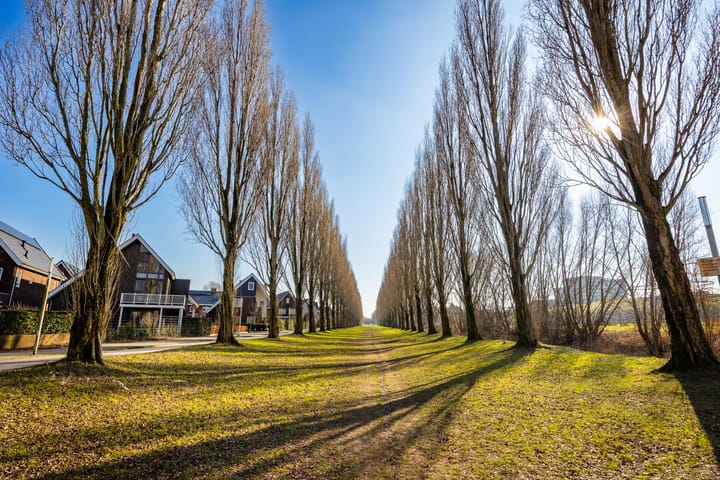 Photo 43 of Tweede Oosterparklaan 269