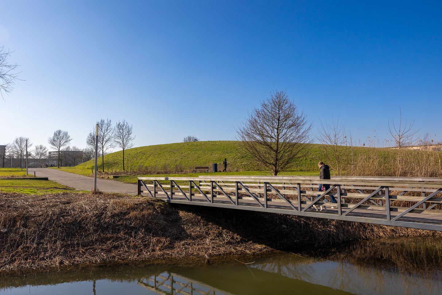 Foto 44 van Tweede Oosterparklaan 269