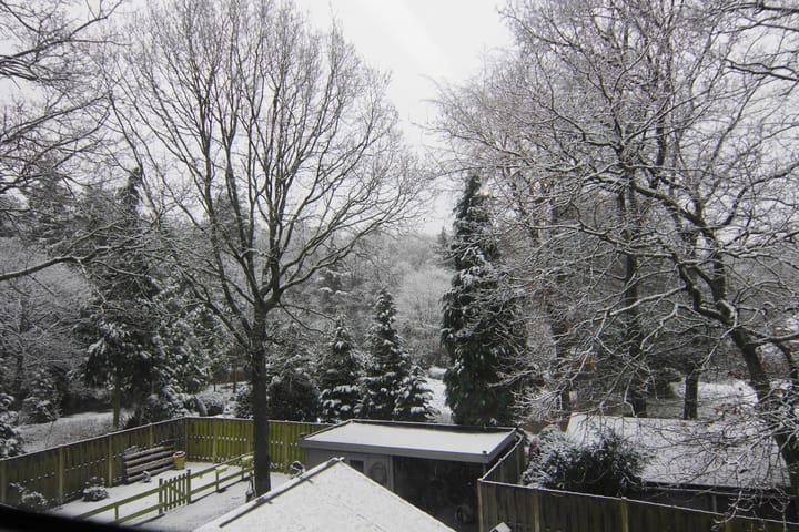 Foto 28 van Begoniastraat 41