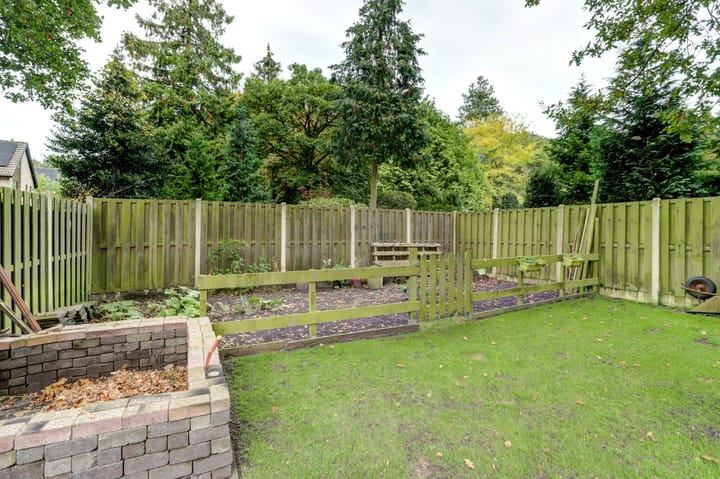 Foto 33 van Begoniastraat 41