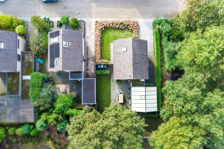 Foto 39 van Begoniastraat 41