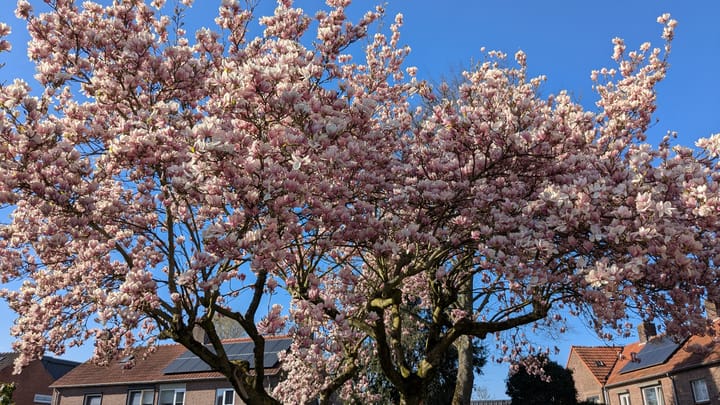 Foto 47 van Julianastraat 22