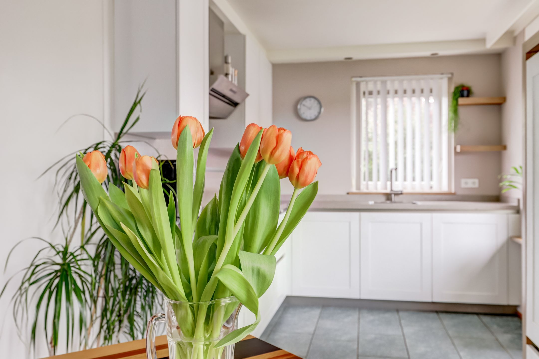 Photo 15 of Romeet 4