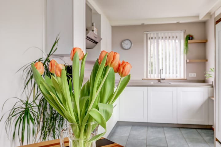 Foto 15 van Romeet 4