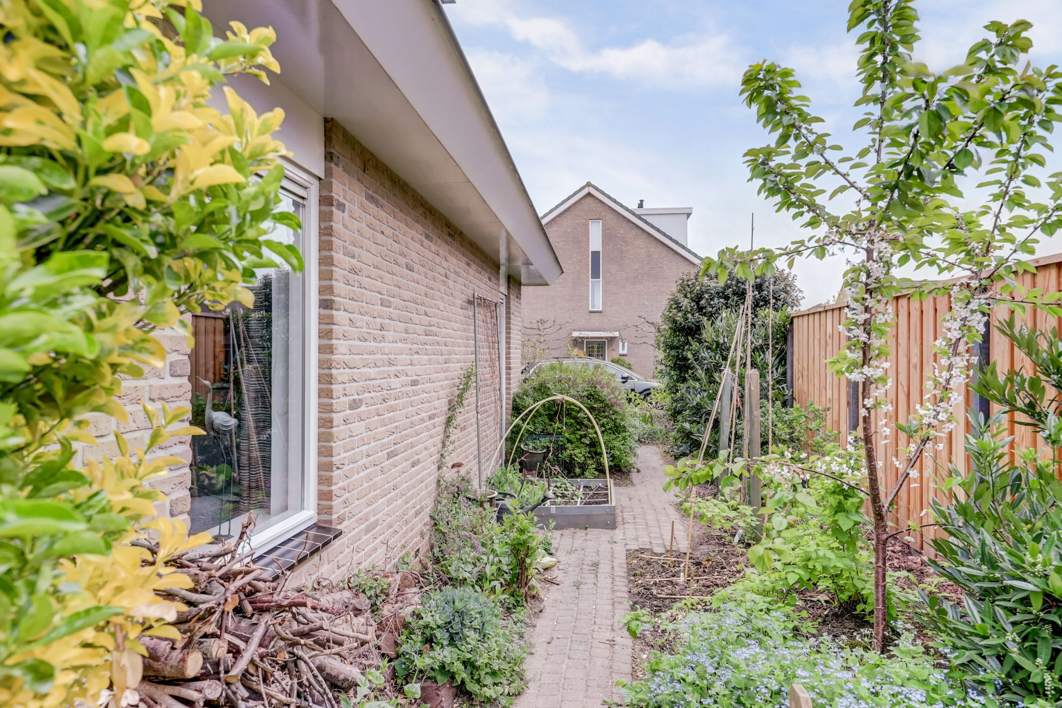 Photo 45 of Romeet 4