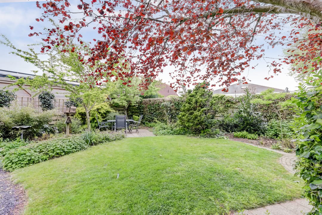 Photo 46 of Romeet 4