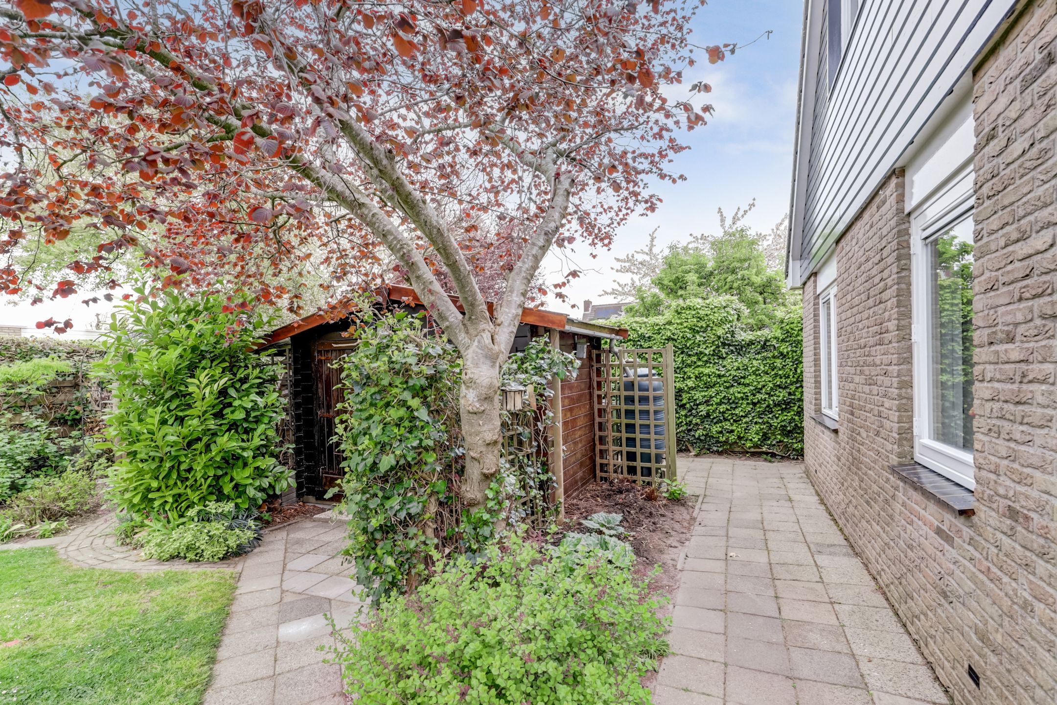 Photo 48 of Romeet 4