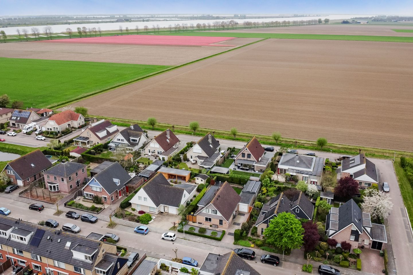 Photo 50 of Romeet 4