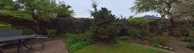 Achtertuin
