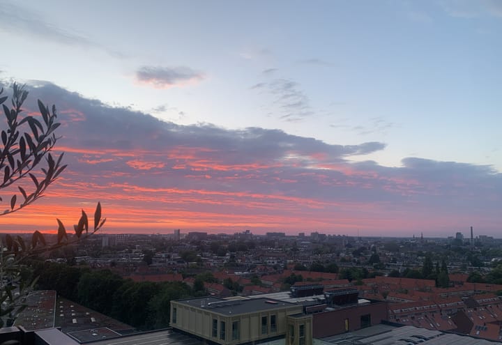 Foto 60 van Mangoweg 277