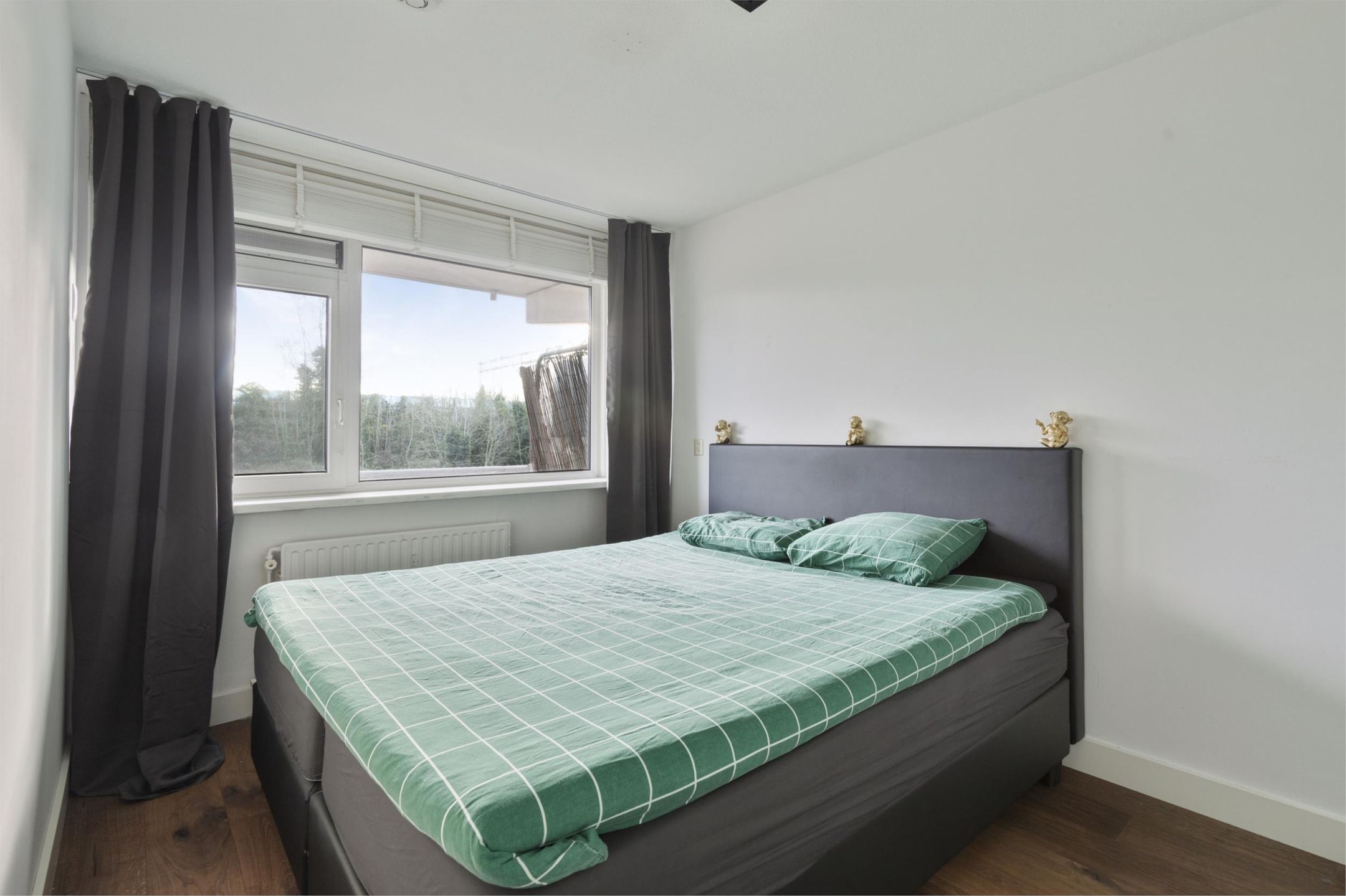 Foto 3 van Tomatenplein 96