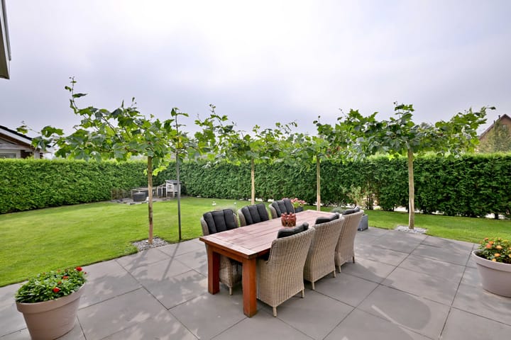 Foto 31 van Dolskamp 2