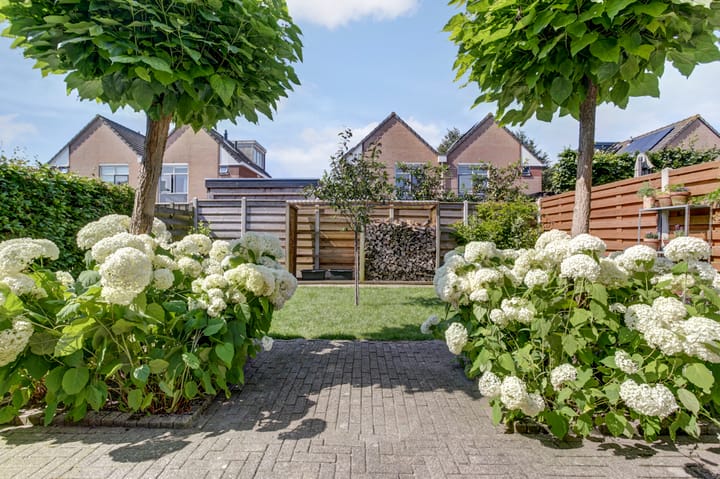 Foto 41 van Dukaat 108