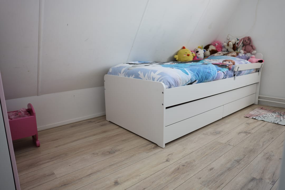 Foto 22 van Willem Santemastrjitte 5