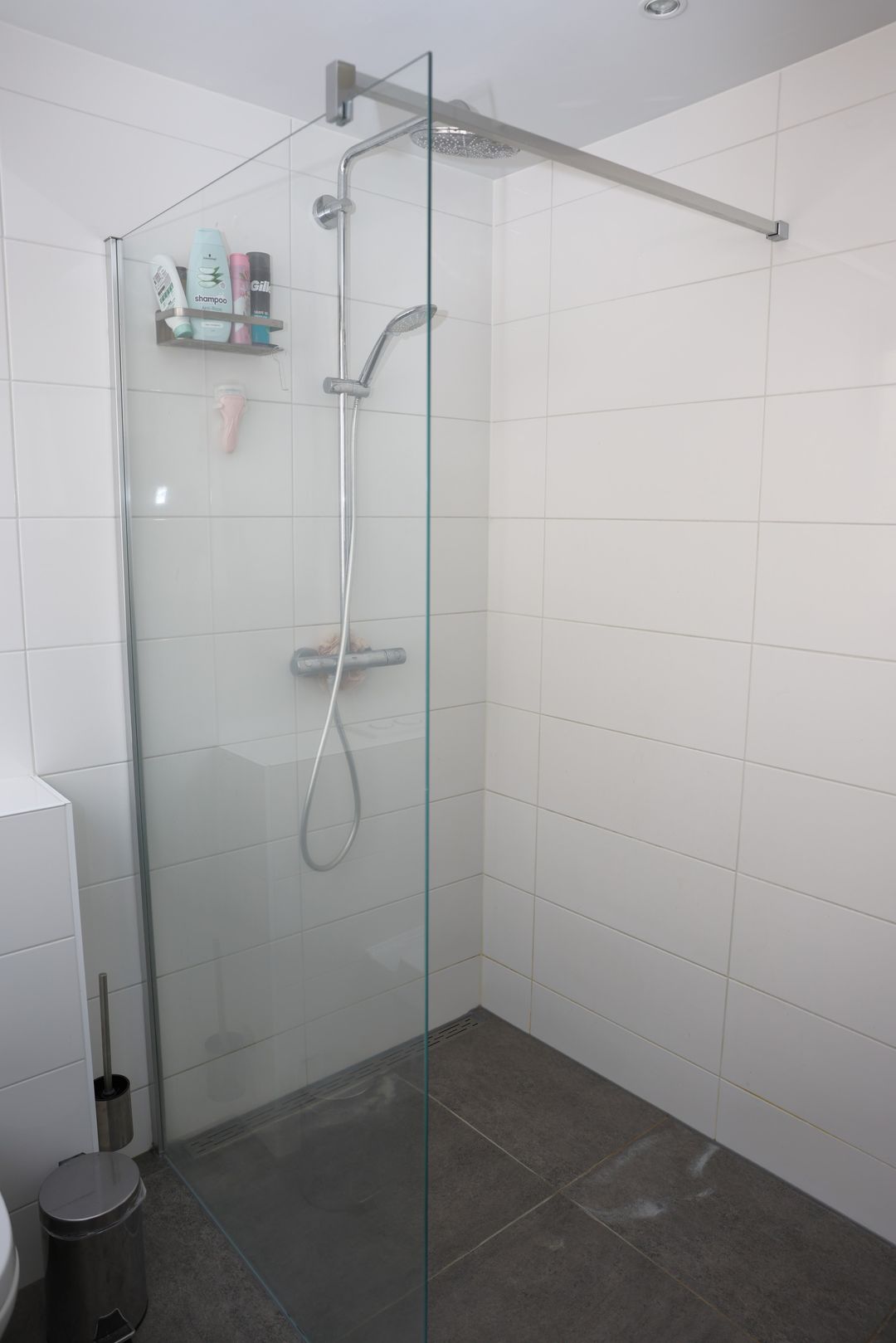 Foto 31 van Willem Santemastrjitte 5