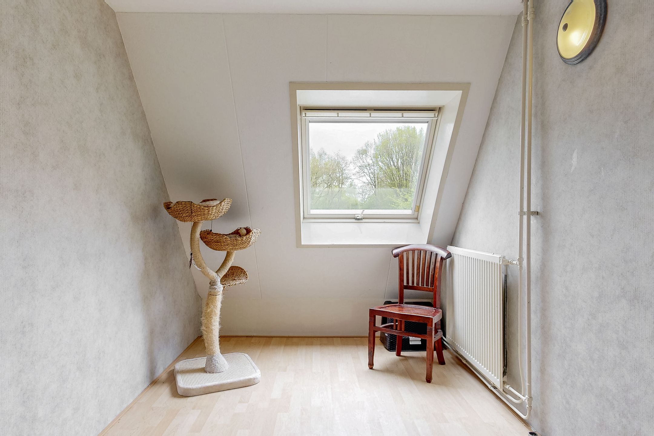 Foto 21 van Weegbree 79