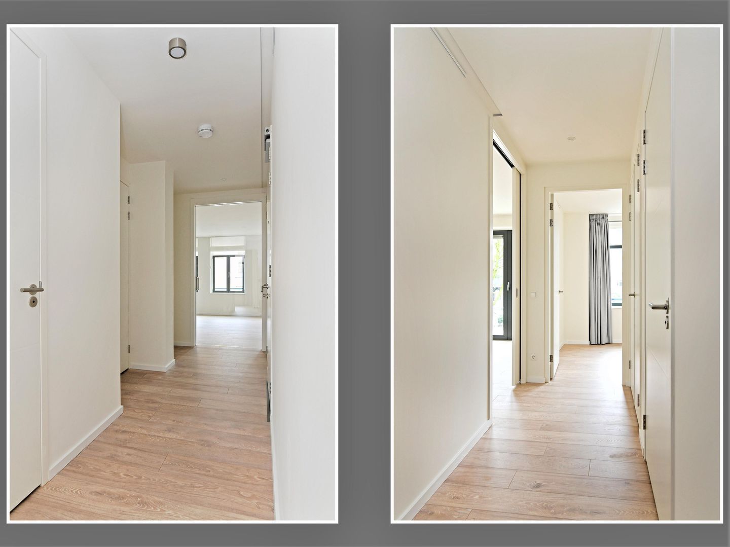 Foto 19 van Hondecoeterstraat 12-D