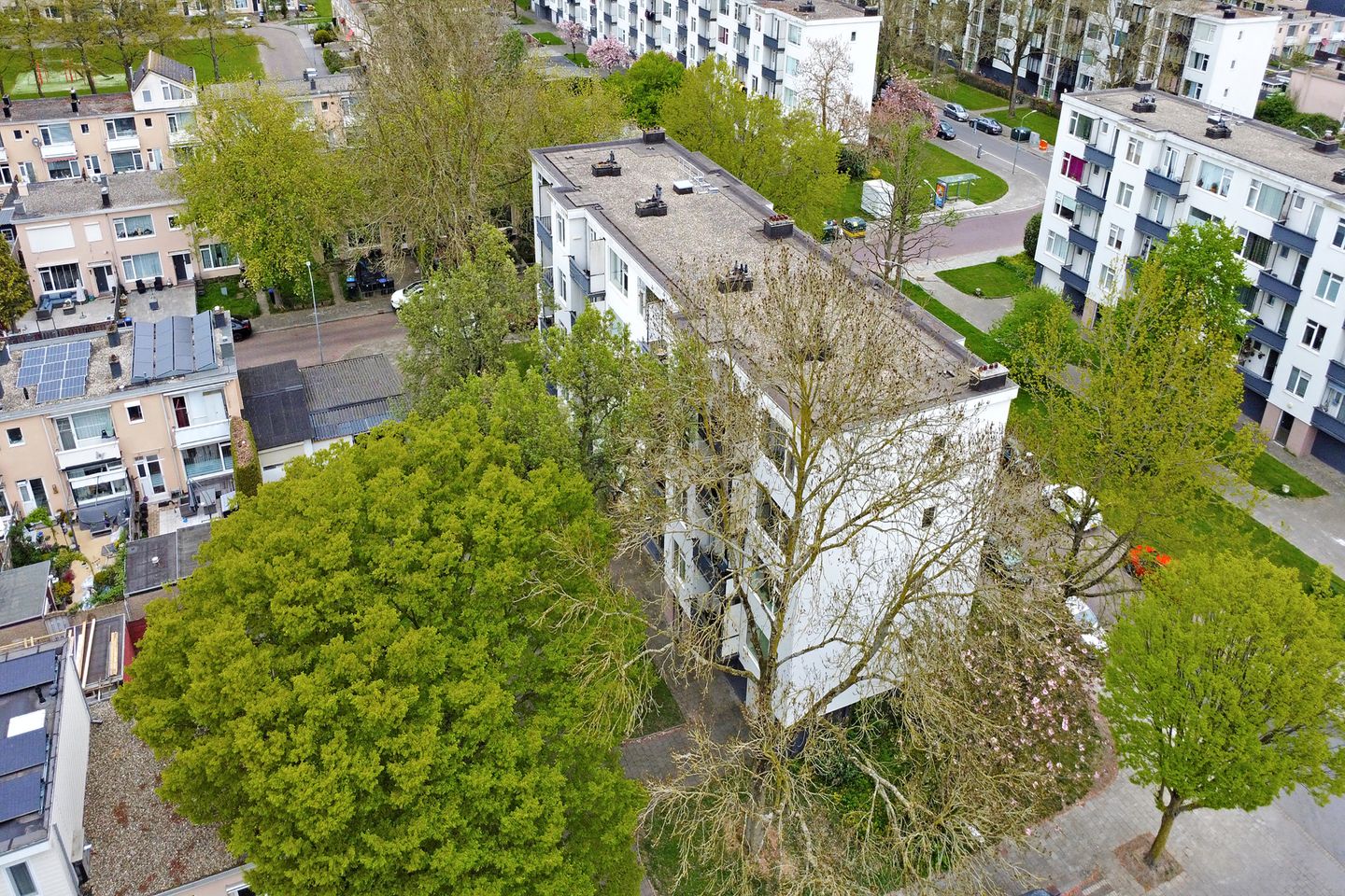 Foto 34 van Donker Curtiusstraat 29