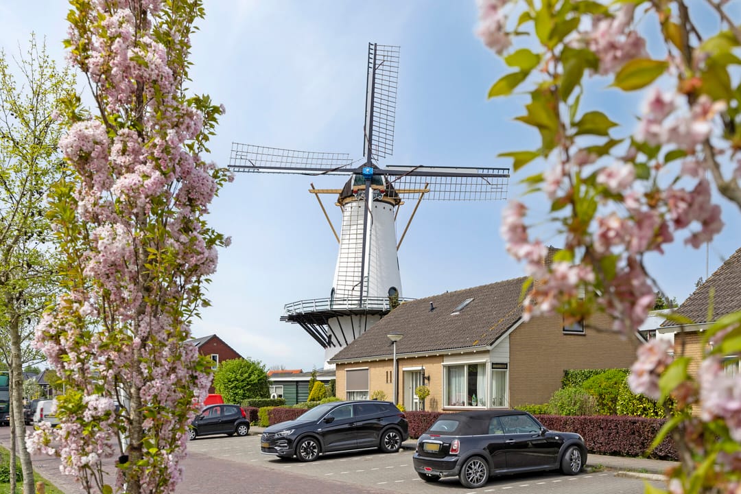 Foto 28 van Nieuwstraat 3-D