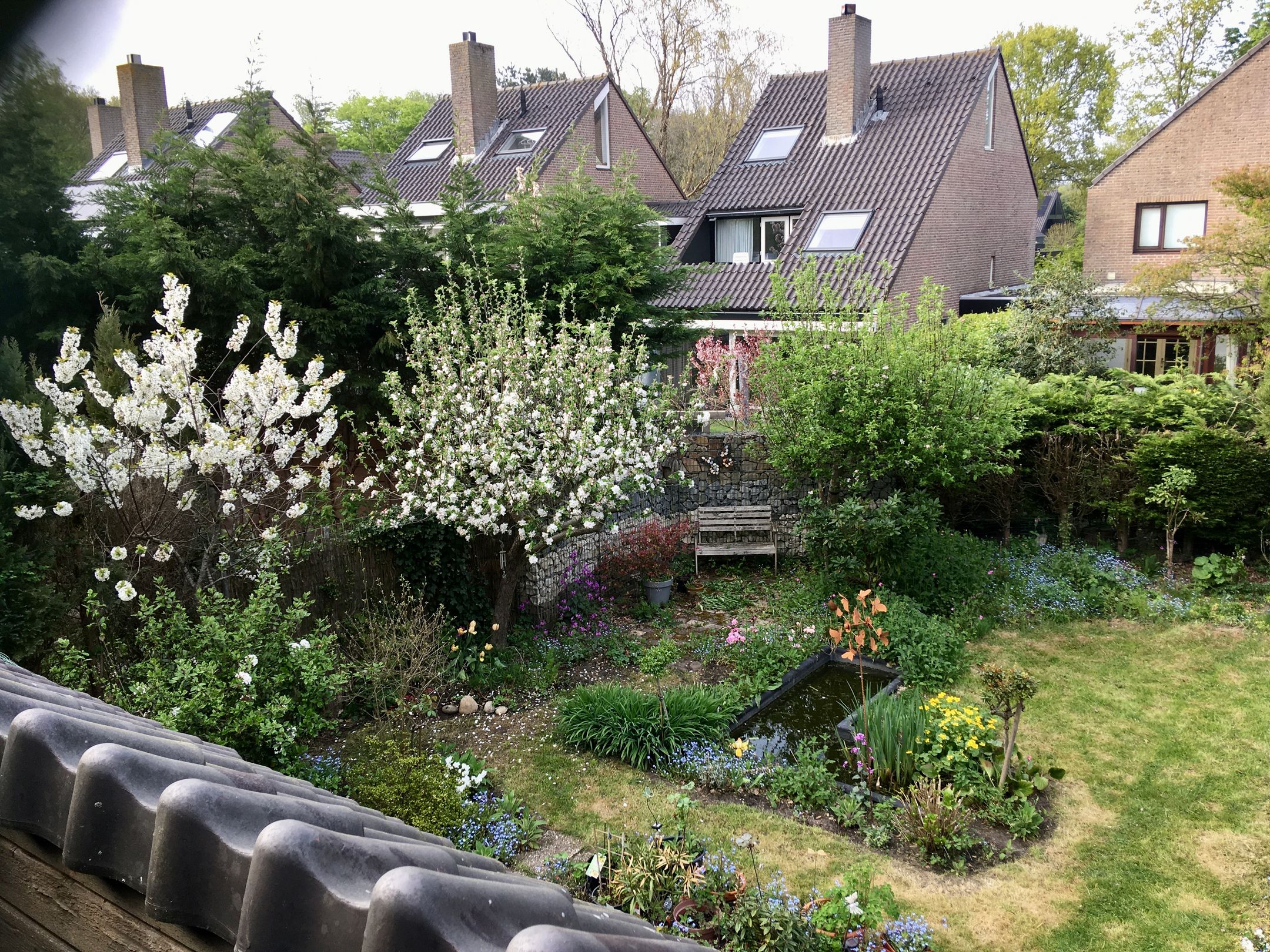 Foto 24 van De Ronge 34