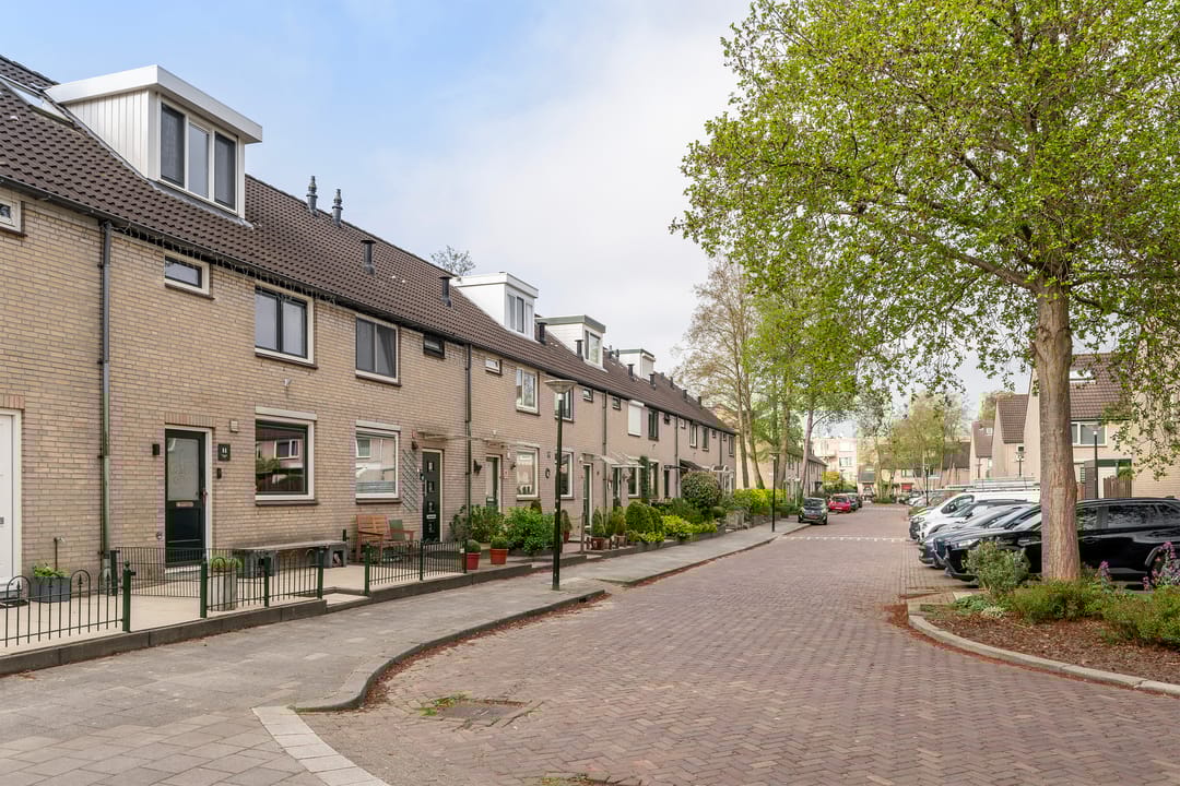 Foto 31 van Bingelkruid 14