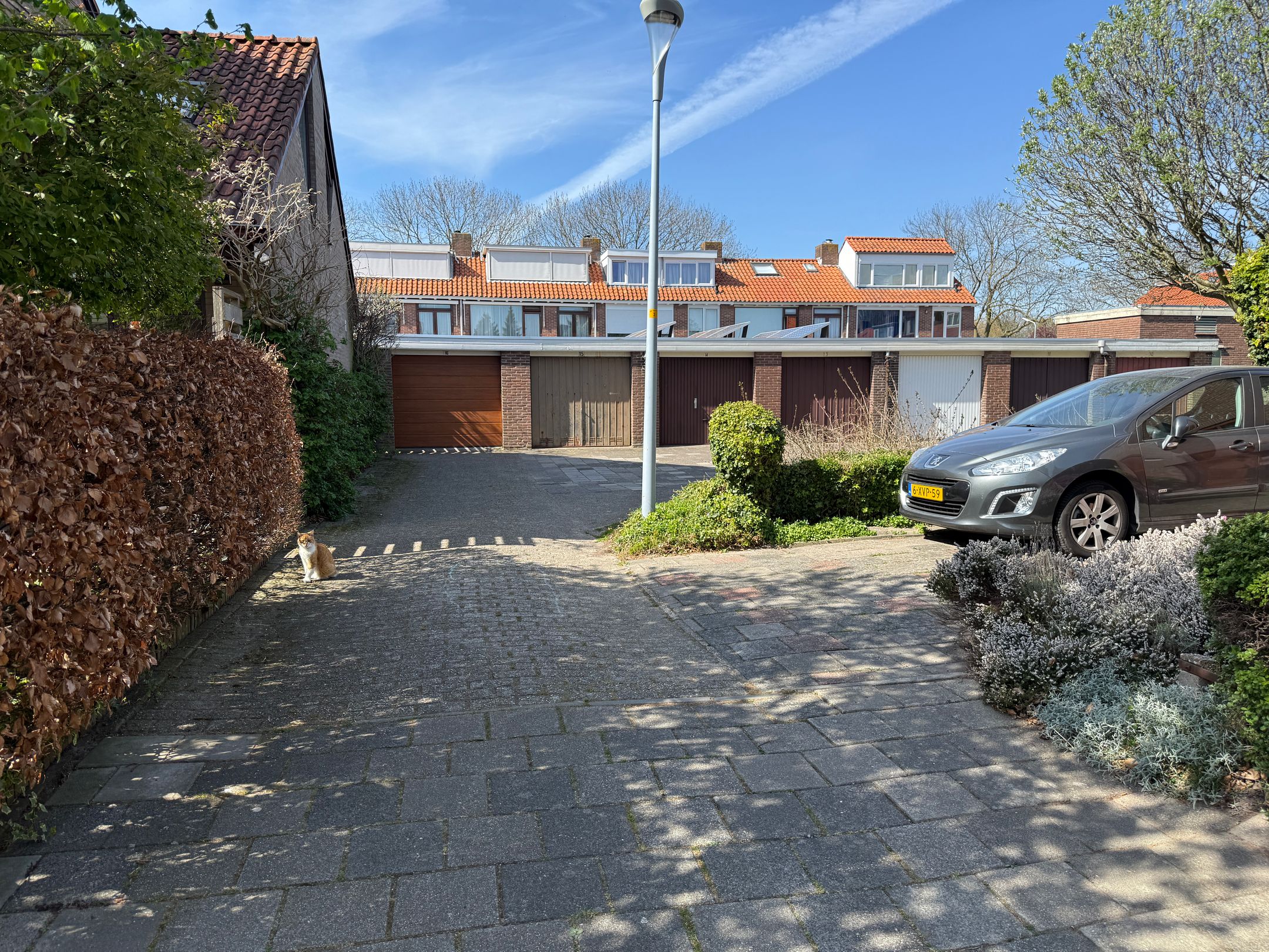 Foto 6 van Wogmeerstraat