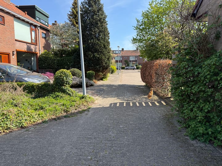 Foto 5 van Wogmeerstraat