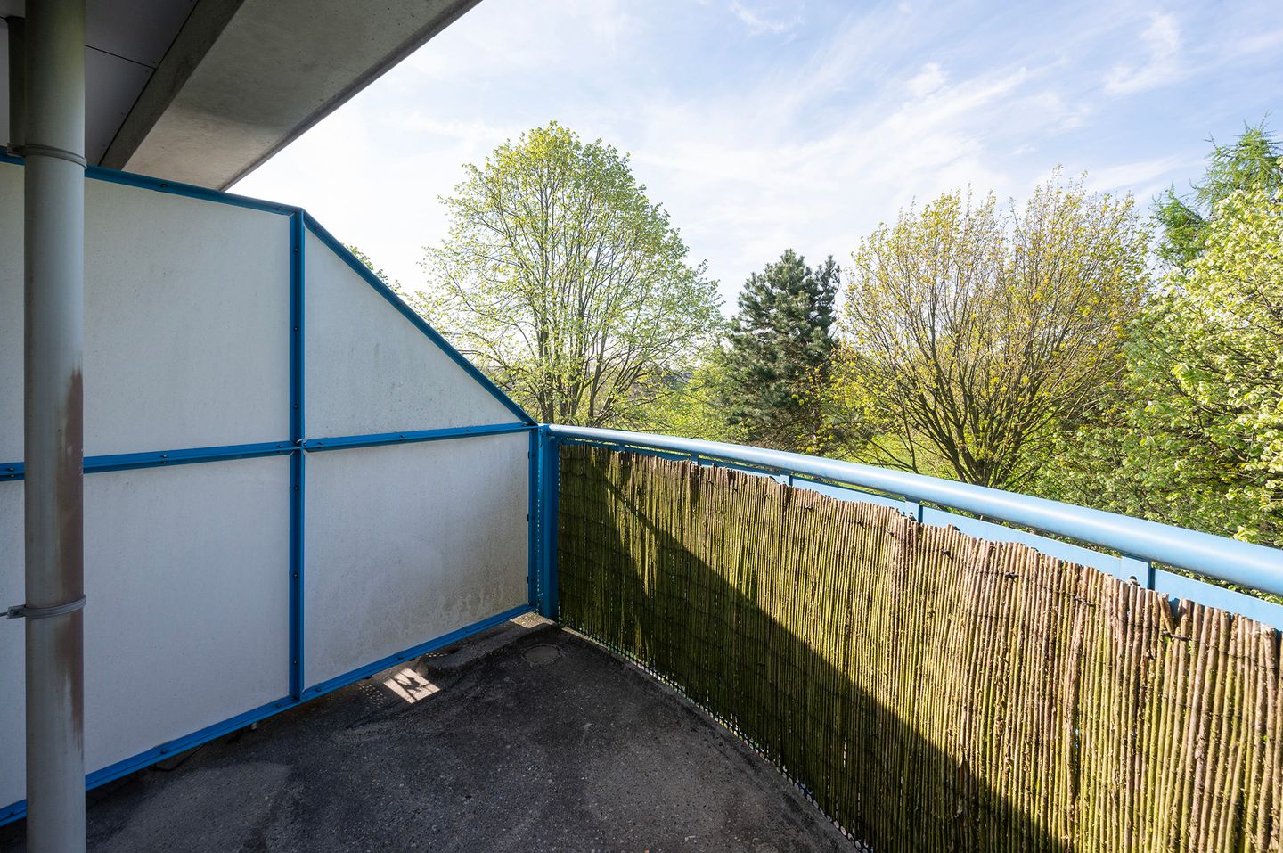 Photo 10 of Mandolinestraat 157