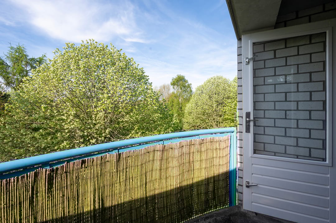 Photo 11 of Mandolinestraat 157