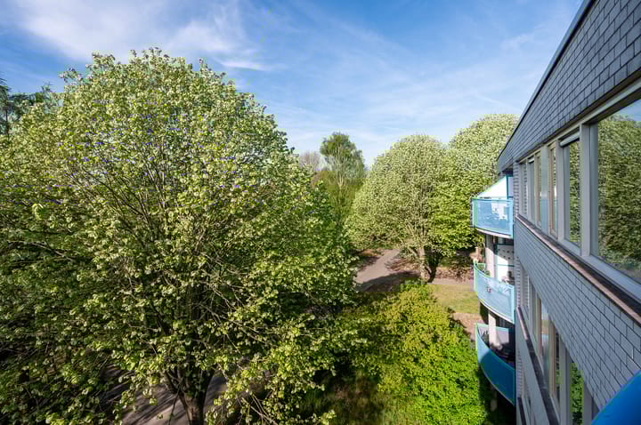 Foto 22 van Mandolinestraat 157