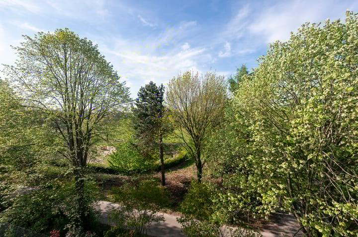 Foto 23 van Mandolinestraat 157