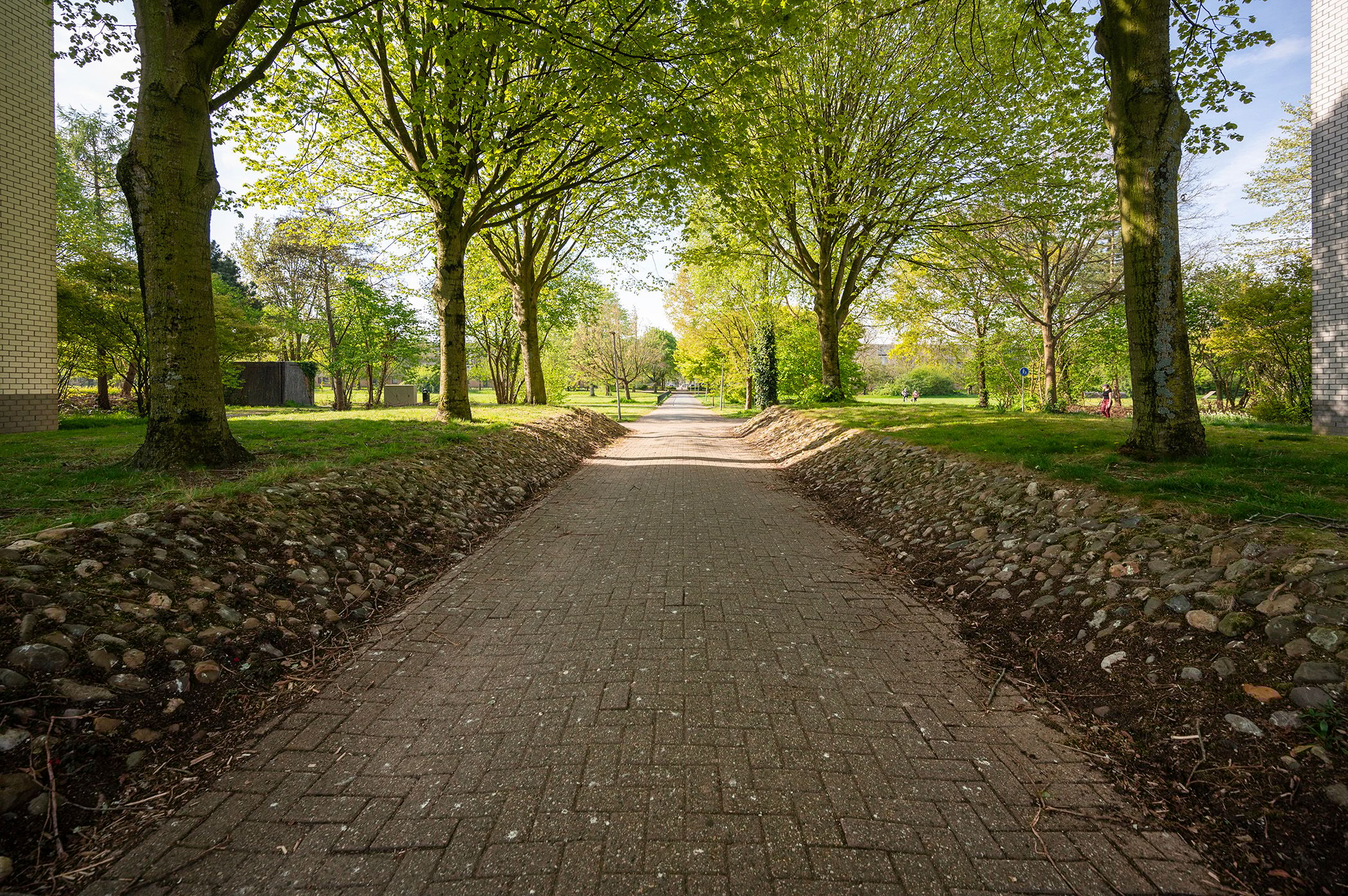 Photo 24 of Mandolinestraat 157