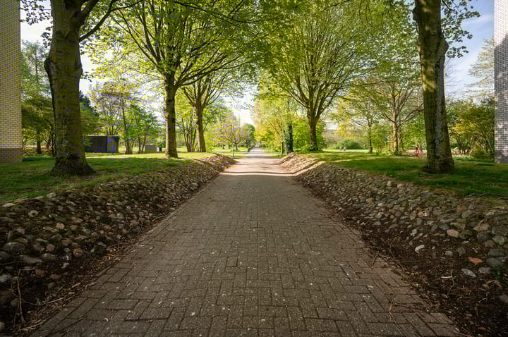 Foto 24 van Mandolinestraat 157