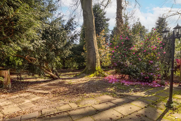 Foto 18 van Ericapark 40