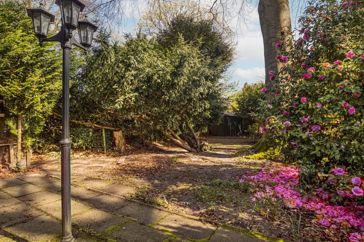 Foto 19 van Ericapark 40